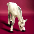 Figura de caballo de porcelana Beswick en tono blanco, detallado y realista, ideal para decoración refinada en espacios de hogar y jardín.