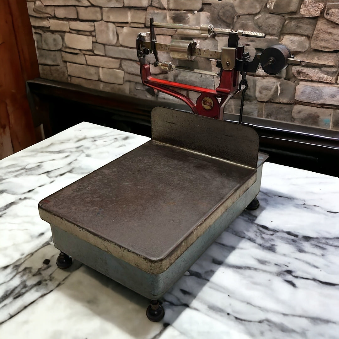 Optimiza tu espacio y pesa con precisión hasta 55 kg. Báscula de mostrador con diseño compacto y máxima resistencia. ¡No dejes pasar esta oportunidad!"