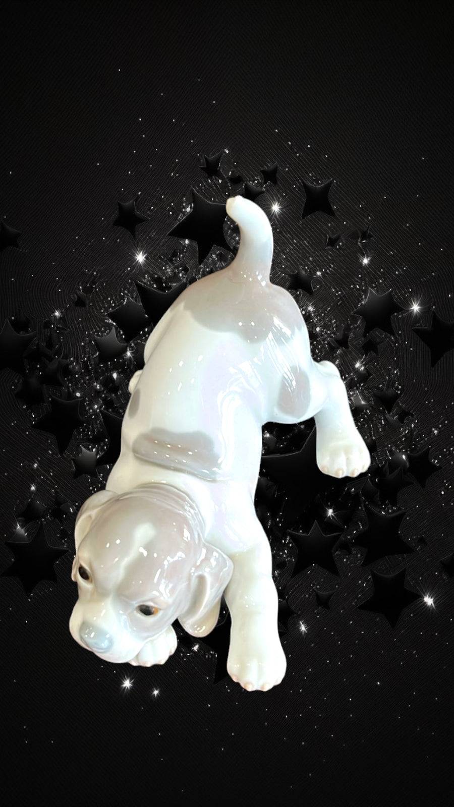 Figura de porcelana Lladró 'Perro Retozón' en posición juguetona sobre fondo negro con estrellas. Ideal para decoración y coleccionismo.