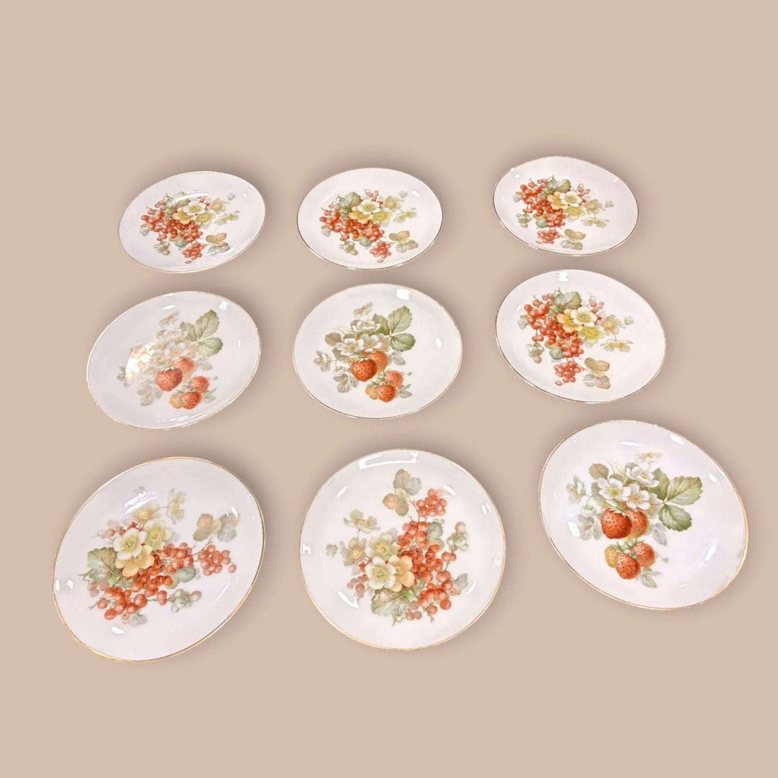 Lote de platos de porcelana Thomas Bavaria pintados a mano con diseños florales y frutales. Ideal para decoración elegante de interiores.