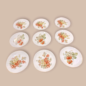 Lote de platos de porcelana Thomas Bavaria pintados a mano con diseños florales y frutales. Ideal para decoración elegante de interiores.