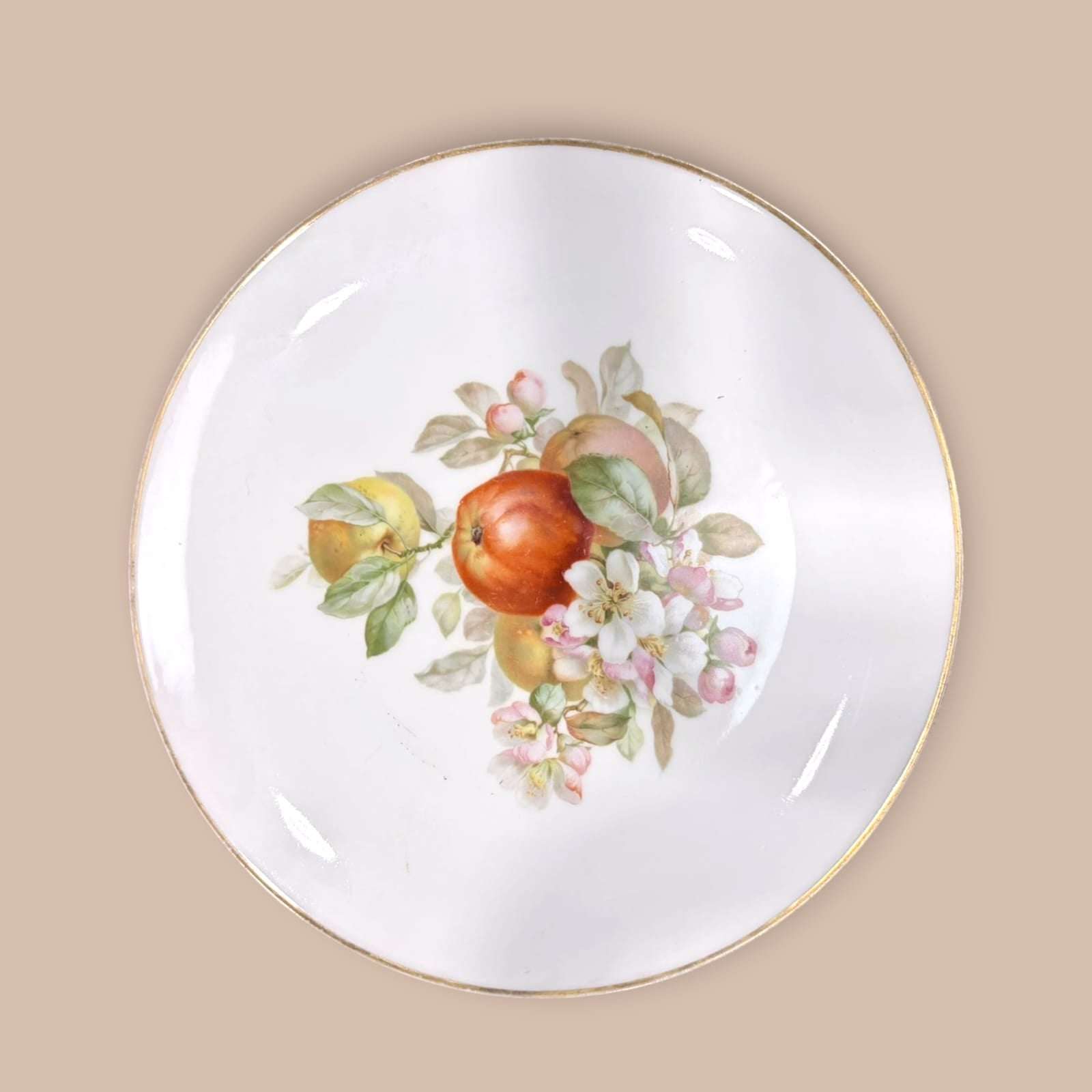 Plato de porcelana Thomas Bavaria pintado a mano con manzanas rojas y flores. Estilo clásico alemán para decoración de mesa o pared.