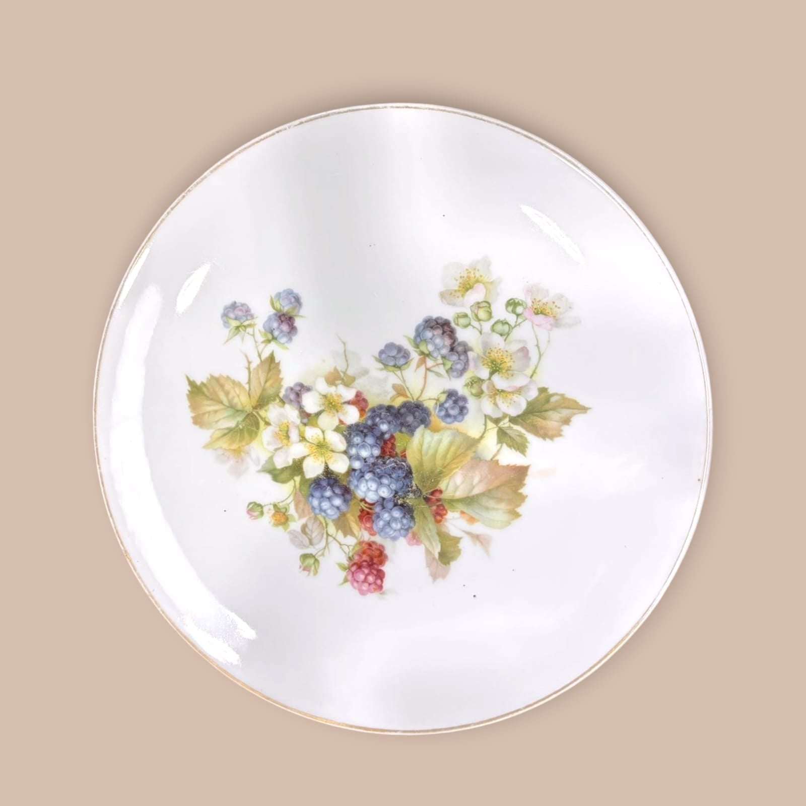 Plato decorativo de porcelana Thomas Bavaria con moras y flores pintadas a mano. Diseño floral y frutal ideal para decoración elegante.