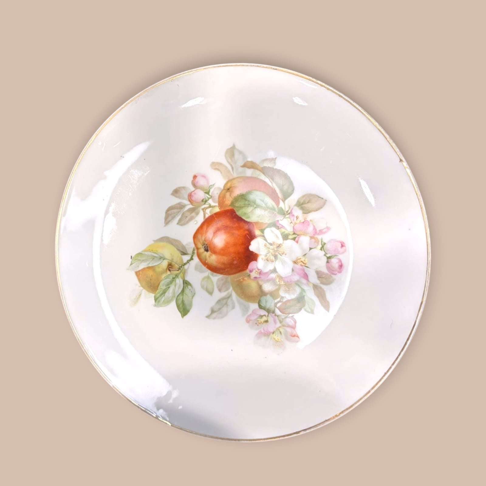 Plato de porcelana Thomas Bavaria pintado a mano con manzanas y flores rosadas. Pieza decorativa de estilo clásico y artesanal.