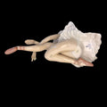 
Perfecta como regalo especial, elemento protagonista en decoración o incorporación a una colección de porcelana artística. 