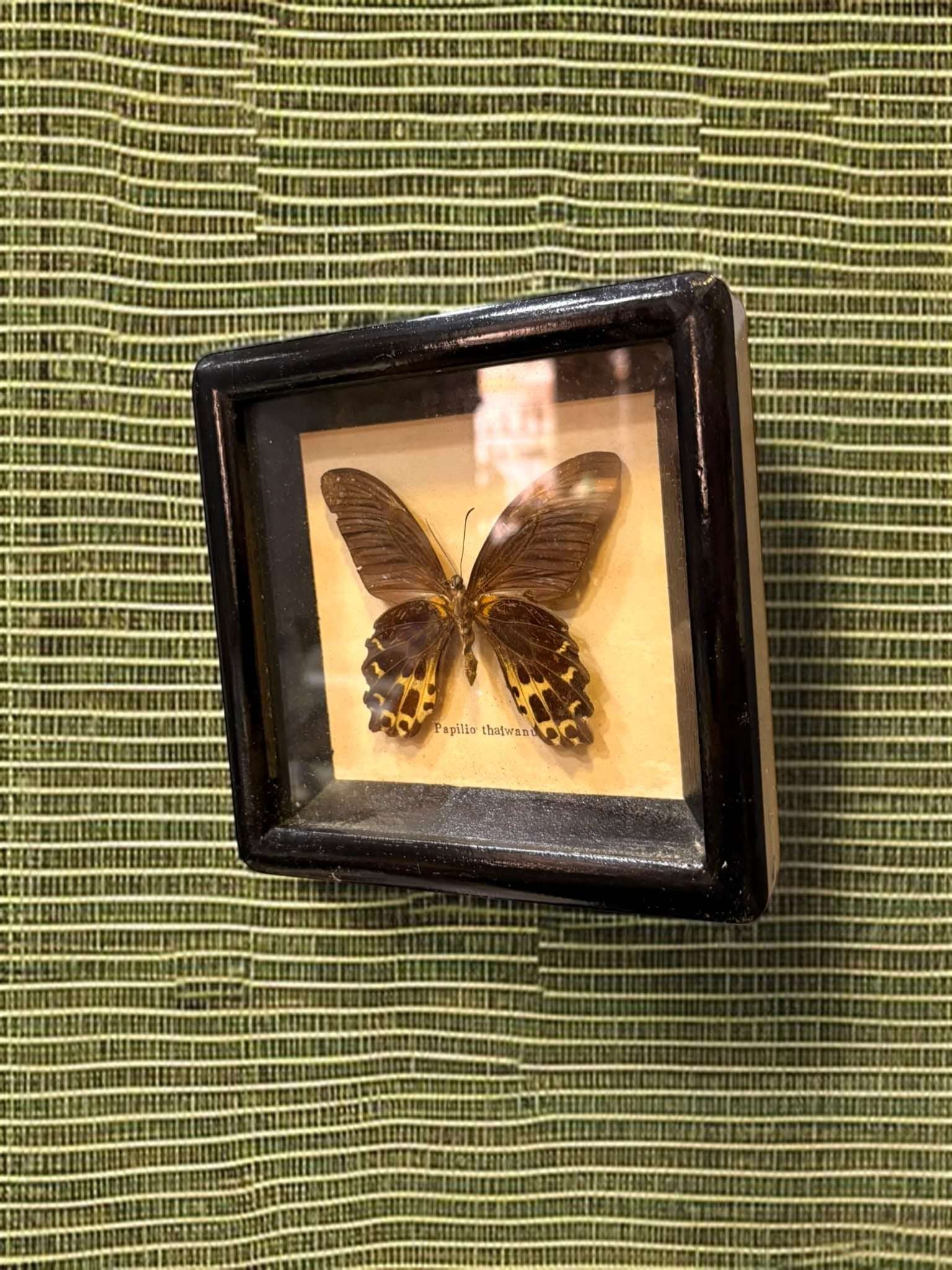Aunque sus medidas son reducidas, su impacto visual es muy potente gracias al contraste entre el marco negro, el fondo claro y la silueta de la mariposa. 
