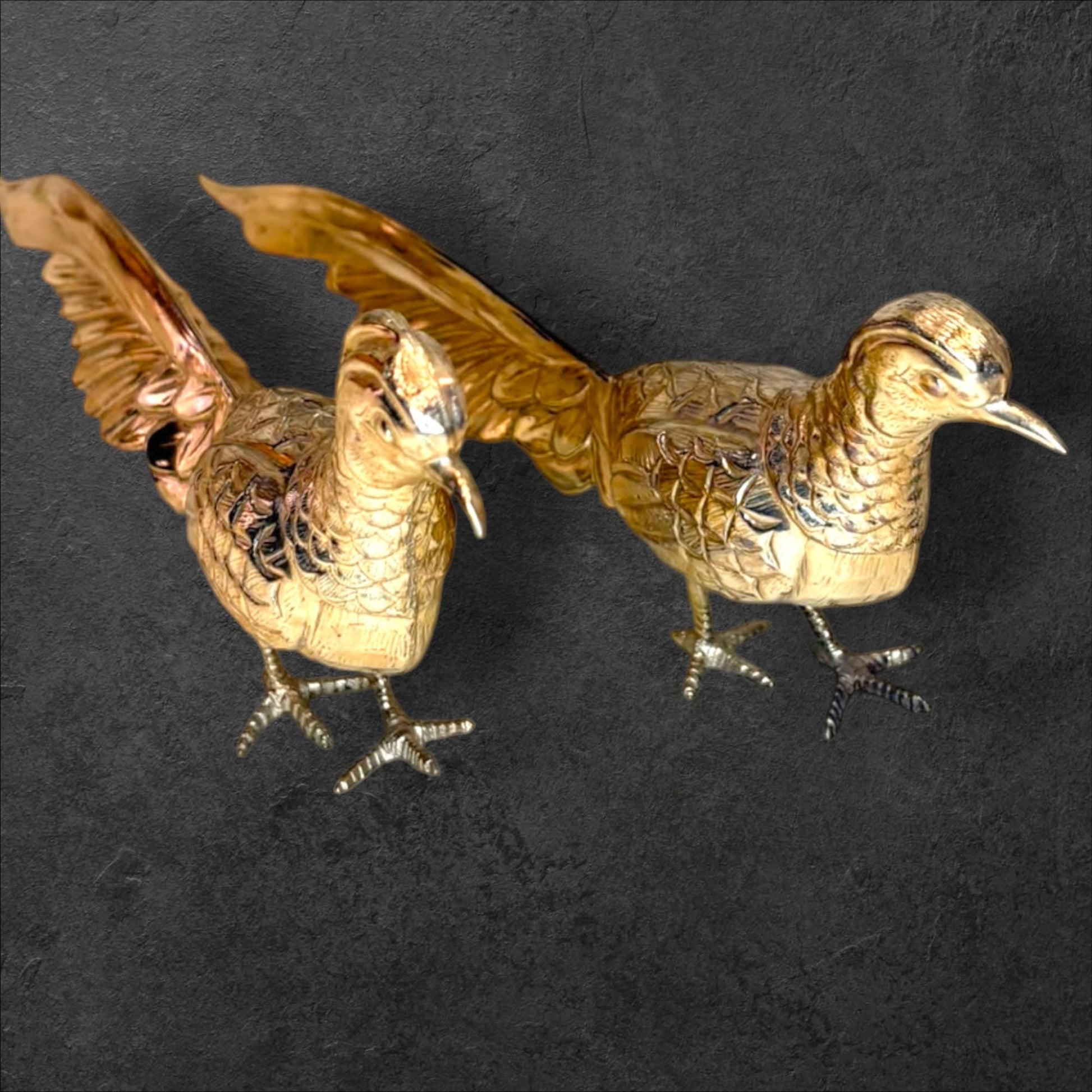 Las patas terminan en pequeñas garras y las cabezas conservan el perfil característico de estas aves