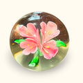 El pisapapeles de cristal Murano concentra su atractivo en el contraste entre el cristal transparente y la floración rosa y verde del interior. 