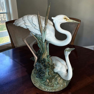 Las aves presentan el característico acabado blanco 