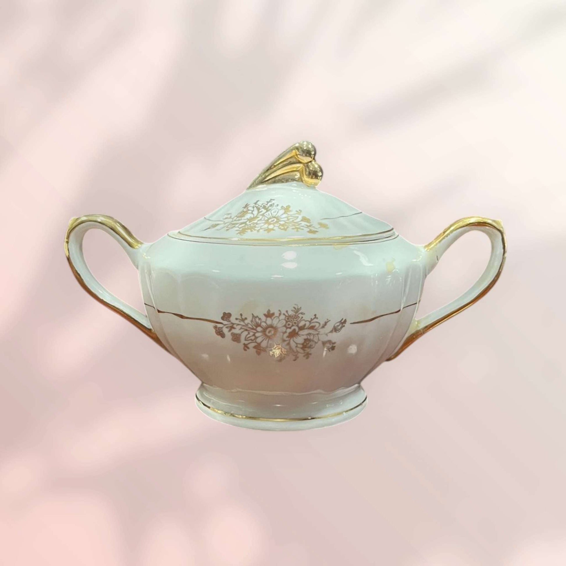 Perfil lateral del Azucarero Royal Gijón S mostrando su elegancia.