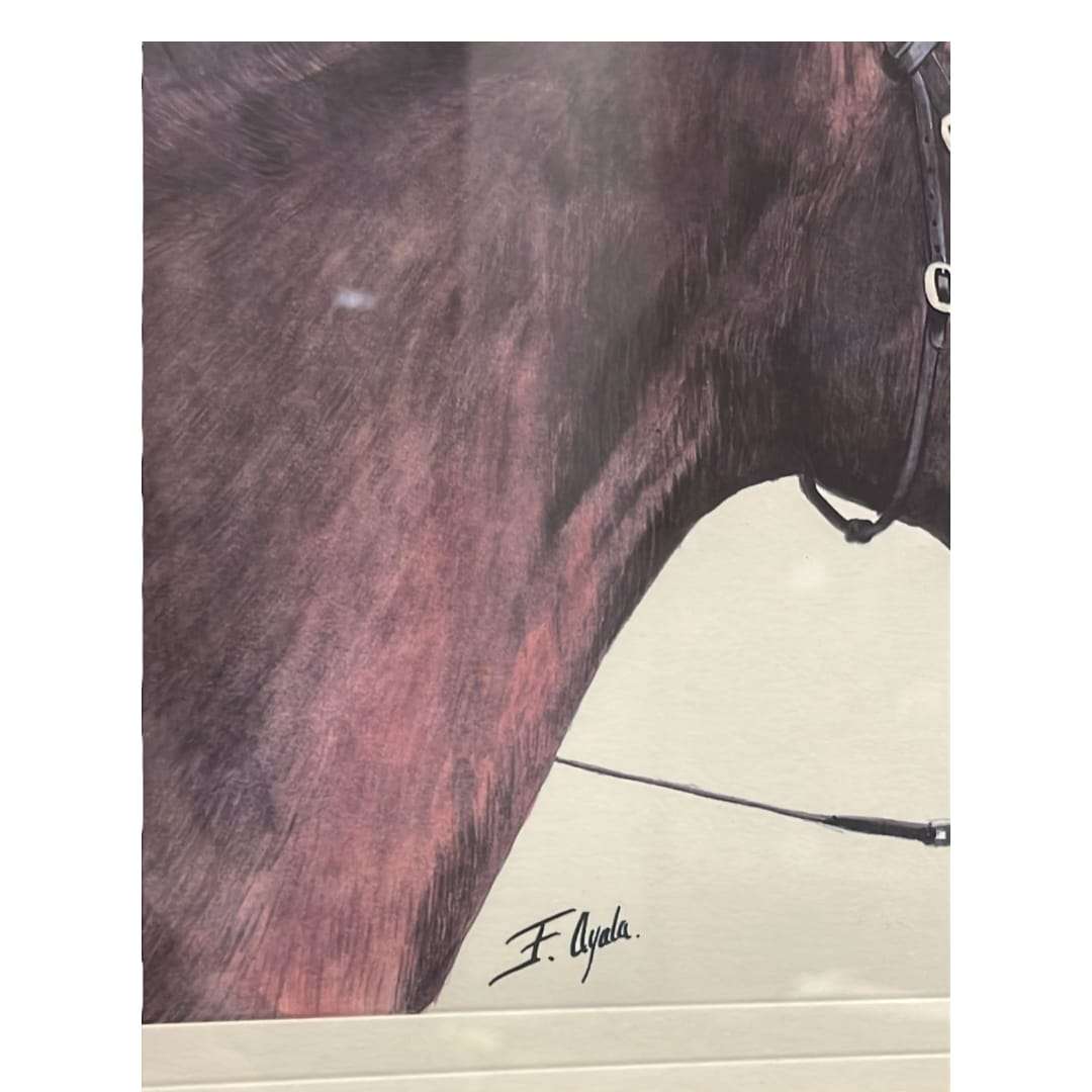 Cuadro retrato ecuestre firmado por F. Ayala con marco de madera.