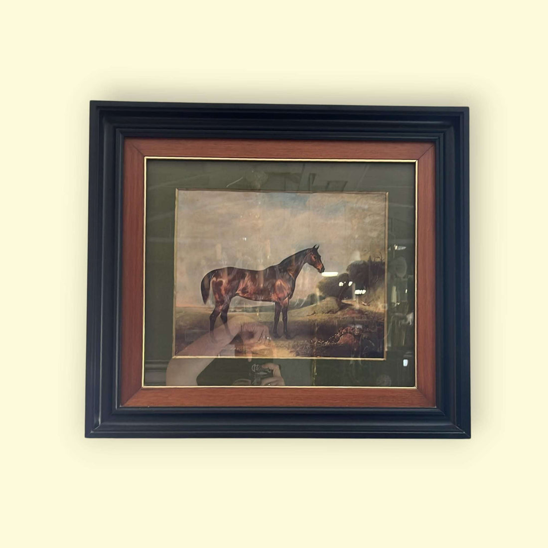 La lámina de caballo es una representación artística que rinde homenaje a la majestuosidad del mundo ecuestre. 