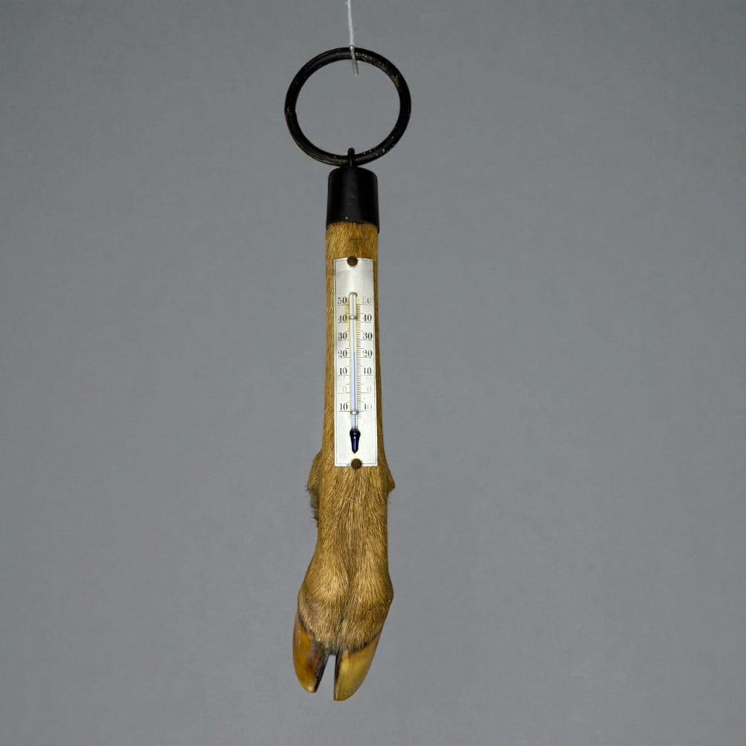 Termómetro artesanal montado sobre pata natural de ciervo.