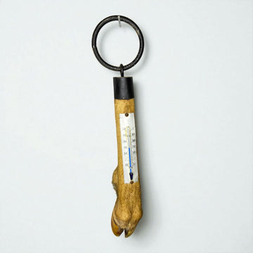 Termómetro de pata de ciervo decorativo y funcional.