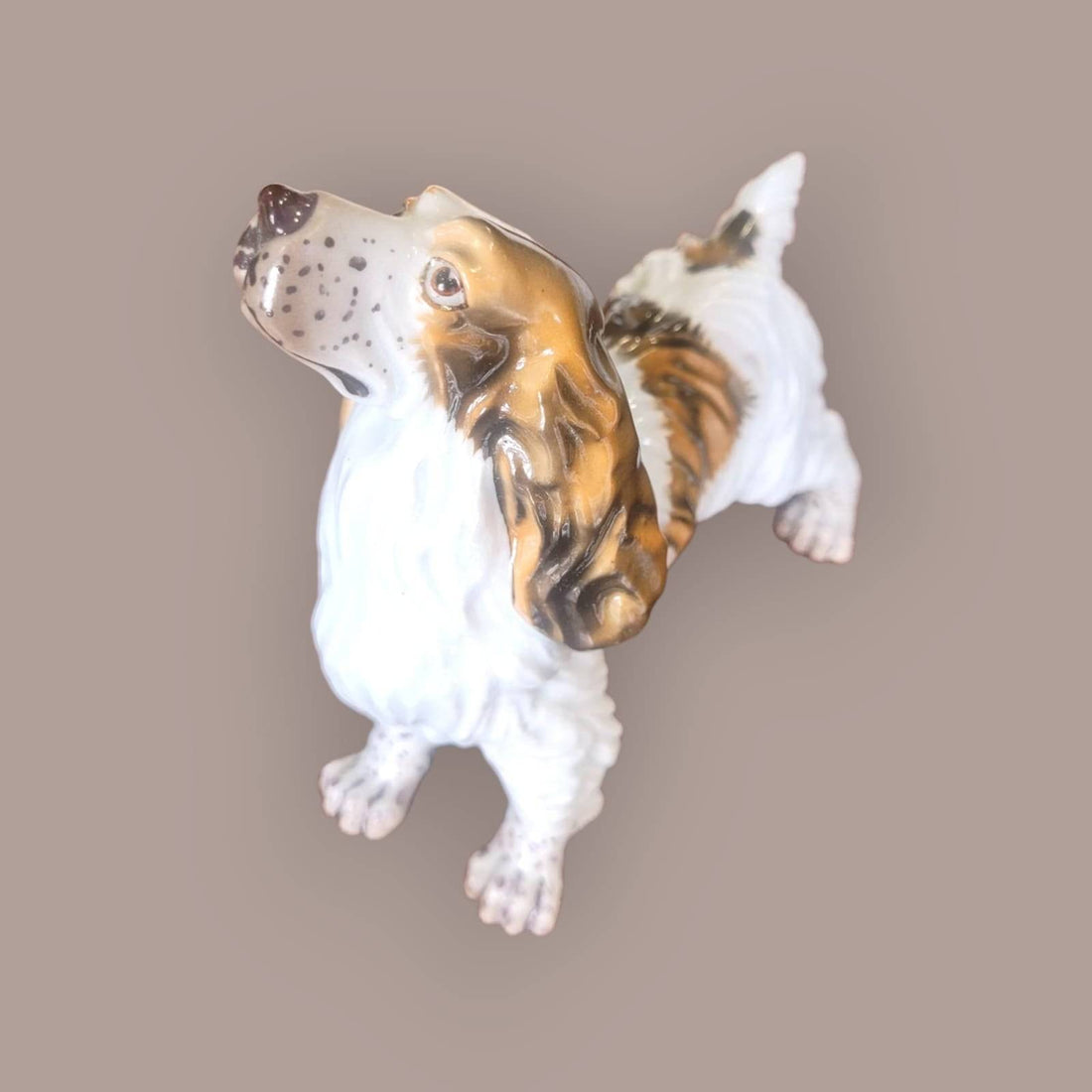 Figura de perro porcelana marca C Martinu años 70, vista frontal en ángulo. Decoración vintage brillante ideal para coleccionistas.