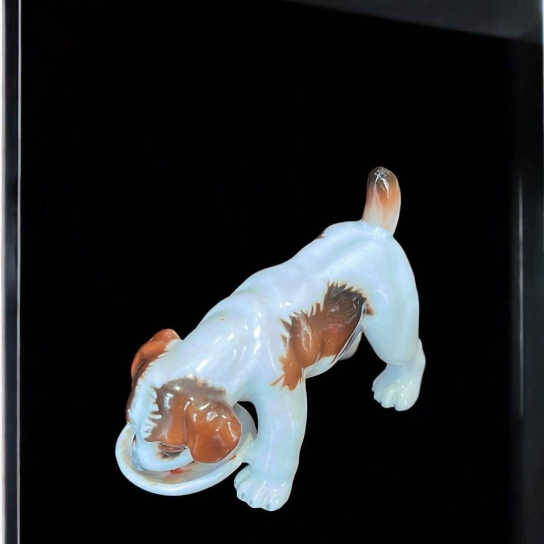 Figura de porcelana alemana beagle cachorro años 50 Limbach, vista superior, decorativa para coleccionistas en categoría Home & Garden.