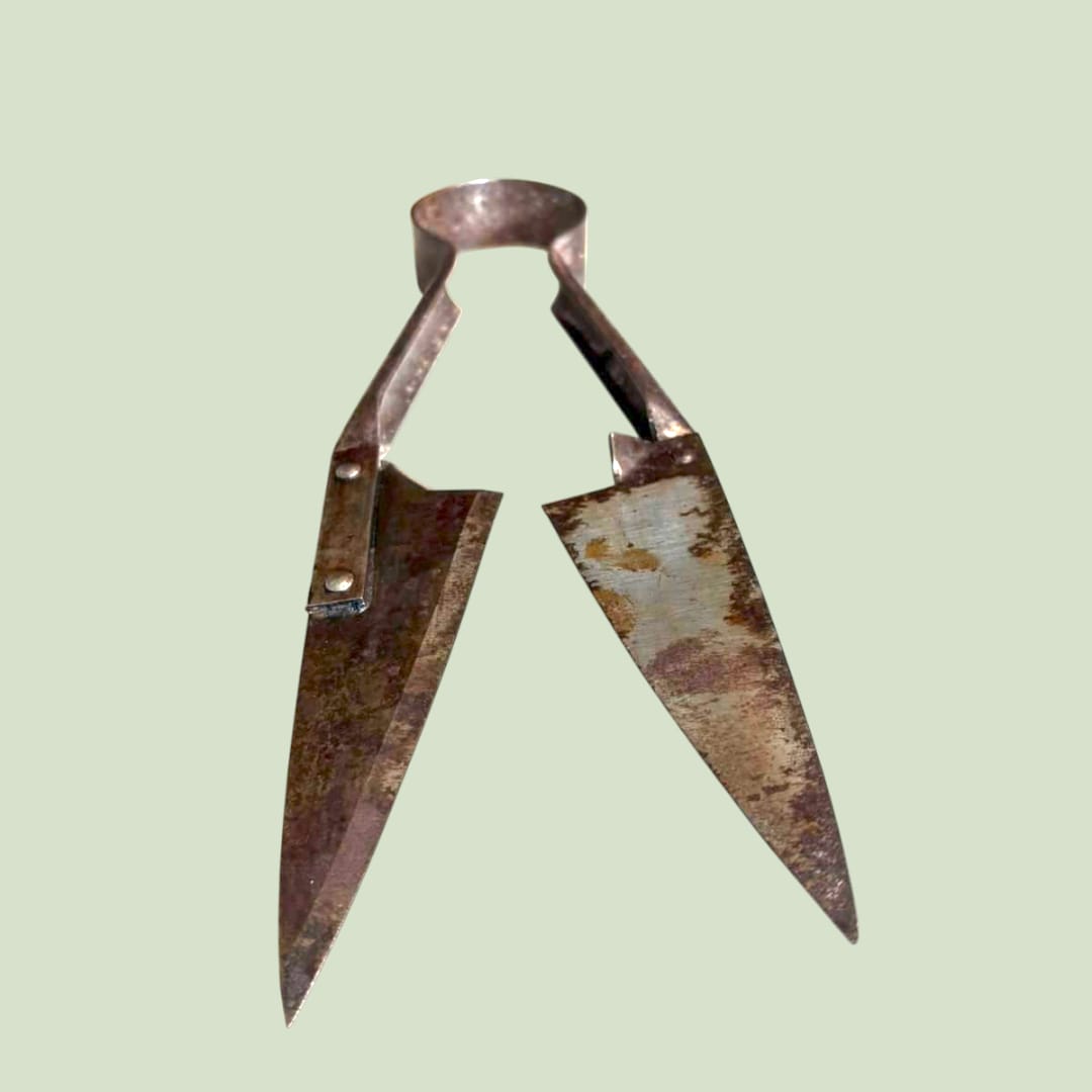 Tijeras antiguas de esquilar sobre superficie rústica