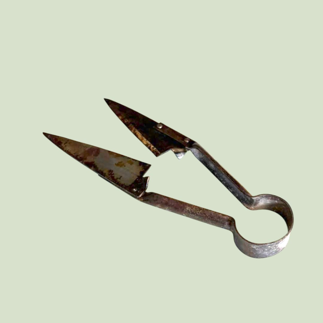 Tijeras de esquilar antiguas de 29 cm en acero