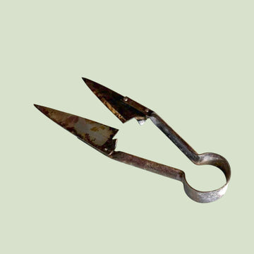 Tijeras de esquilar antiguas de 29 cm en acero