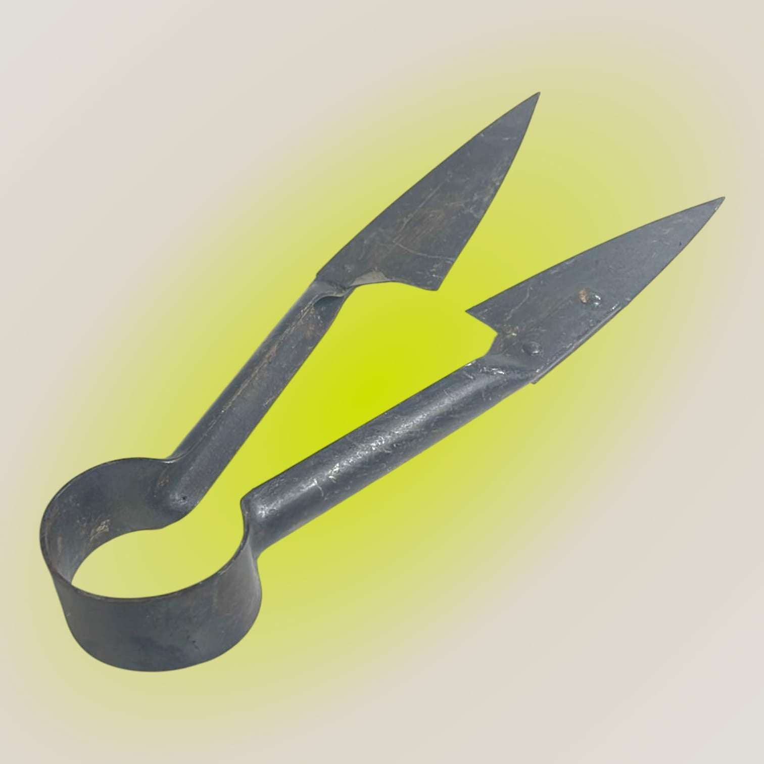 Tijera de esquilar antigua abierta mostrando sus hojas largas.