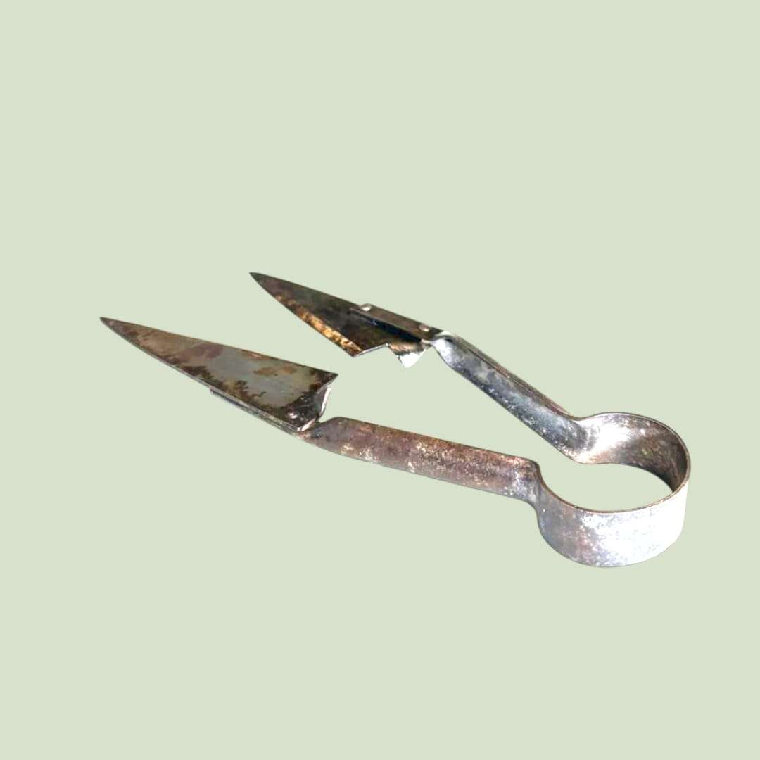 Tijeras de esquilar antiguas de 29 cm en acero