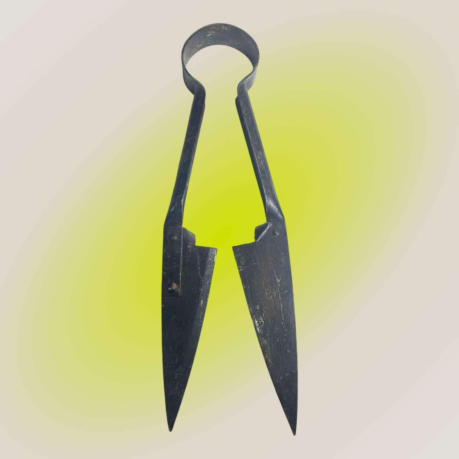 Detalle del filo y estructura de la tijera de esquilar antigua.