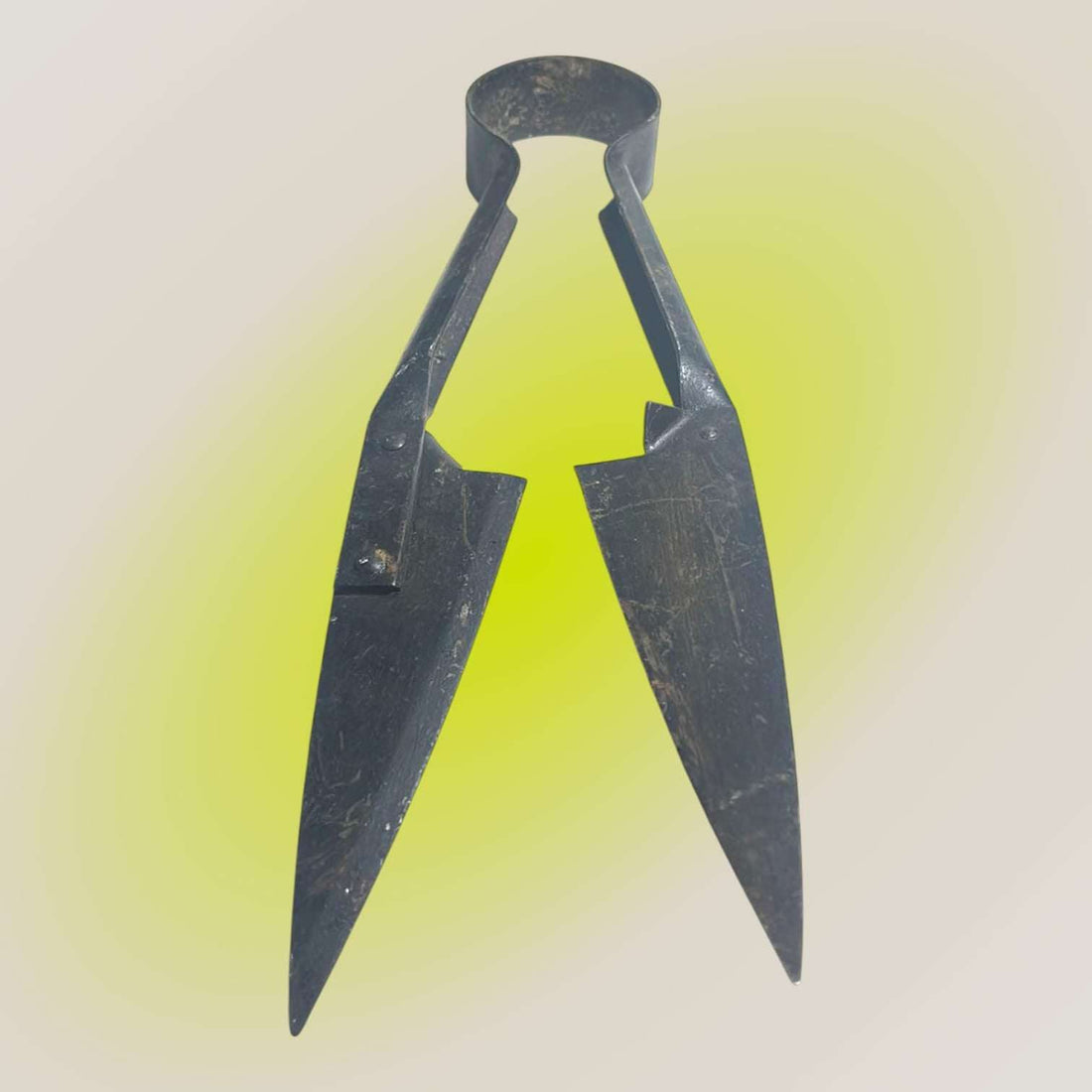 Vista superior de tijera de esquilar antigua en hierro forjado.