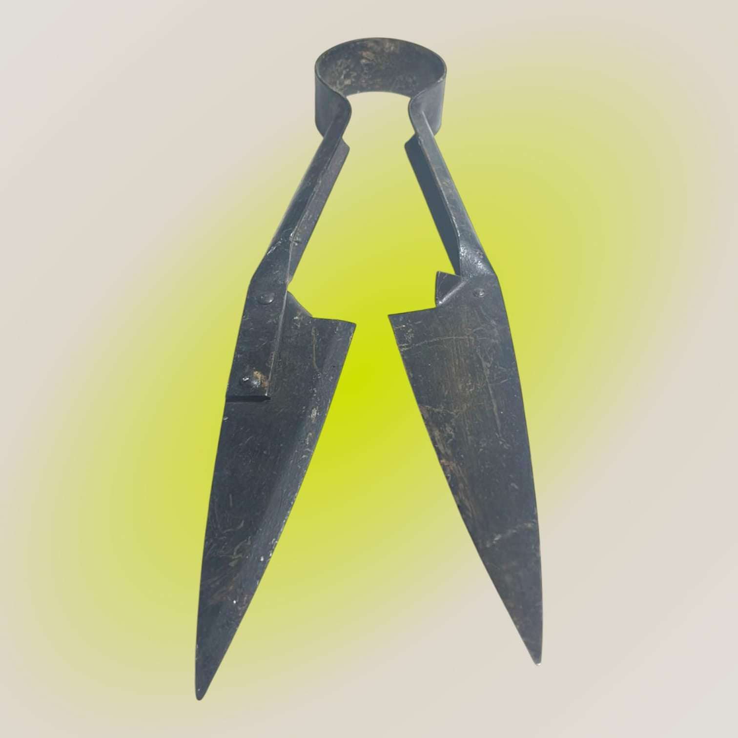 Vista superior de tijera de esquilar antigua en hierro forjado.