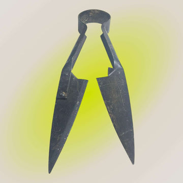 Vista superior de tijera de esquilar antigua en hierro forjado.