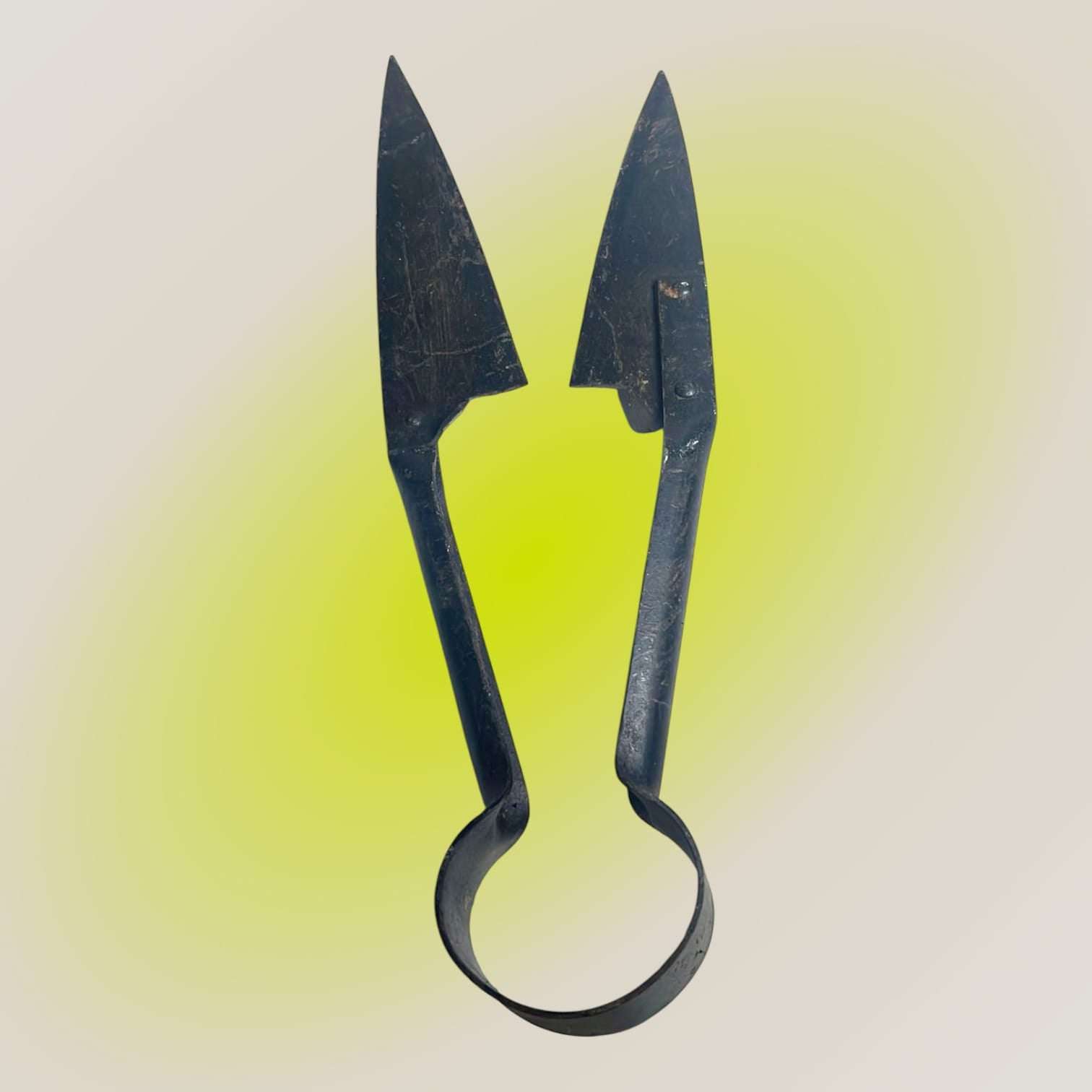 Perspectiva cenital de la tijera de esquilar antigua.