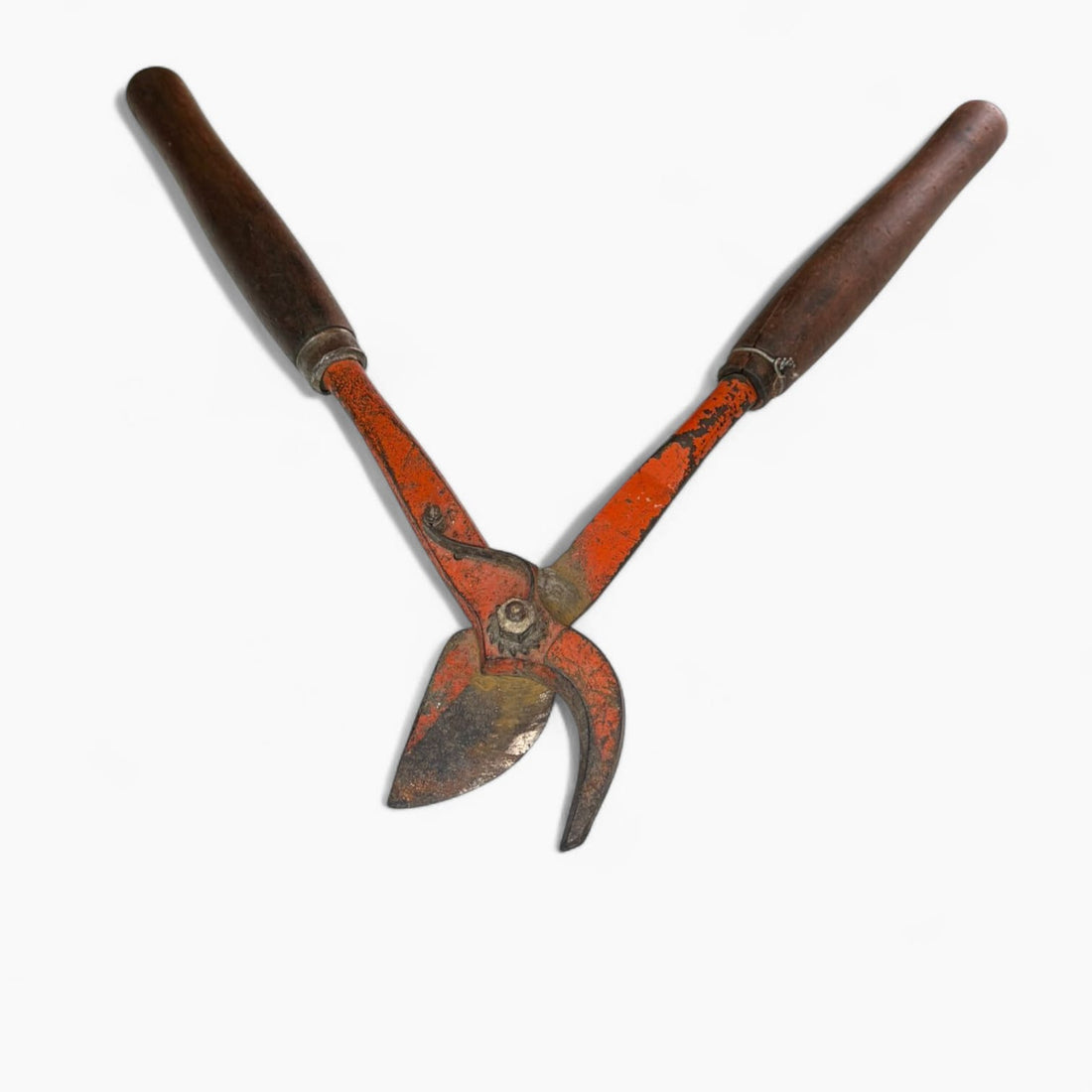 La antigua tijera de podar de mano es mucho más que una simple herramienta: es un símbolo del trabajo artesanal del campo. 