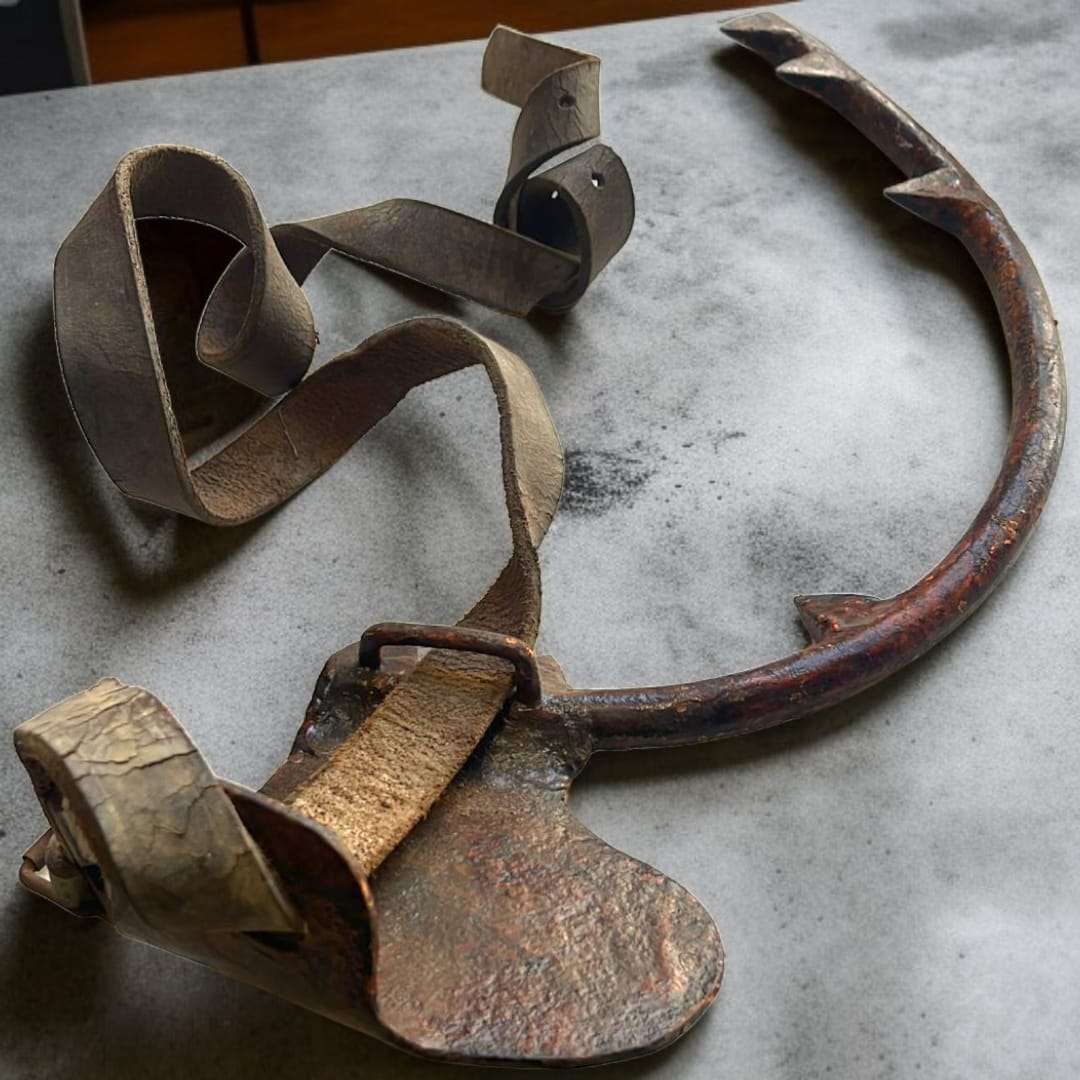 Plano cercano de uno de los trepadores, enfocado en la textura del metal y el óxido natural.