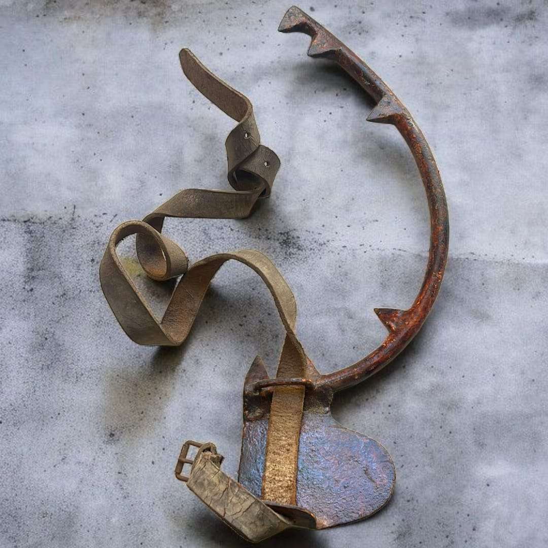 Detalle de un trepador individual mostrando su curvatura y puntas dentadas.