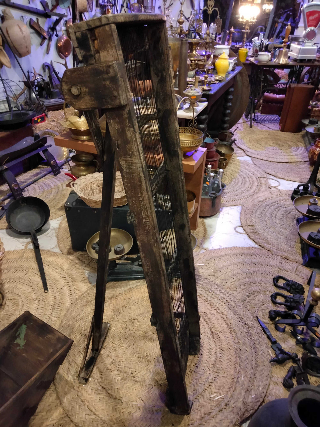 Criba antigua para separar aceitunas de impurezas en uso durante la cosecha, ideal como decoración rústica para jardín o interiores vintage.