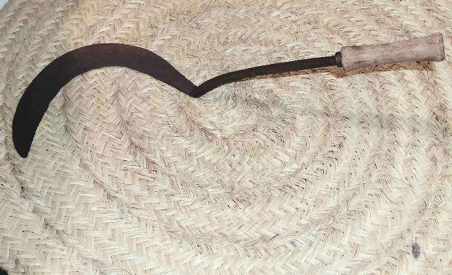 Hocino de brazo largo y curvado con mango de madera sobre fondo de palma tejida. Decoración rústica para jardín o pared interior.