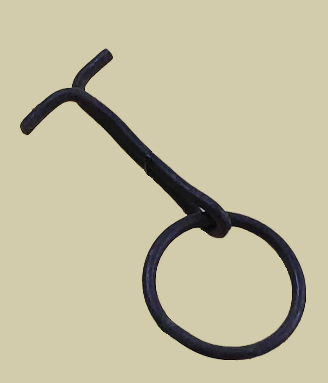 Argolla de pared. - La Guadaña