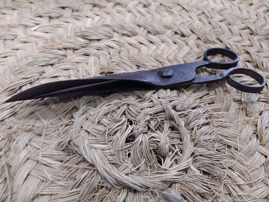Tijera Antigua de Pelar Bestias – Alta Calidad y Valor Histórico sobre fondo de fibra natural trenzada. Ideal para decoración rústica de hogar.
